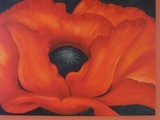 by Sue Gordon