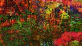 by Mary Clanahan