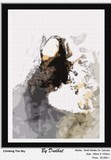by BHANU DUDHAT