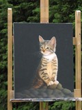 by yvonne kuijpers