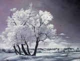 by Sorin Apostolescu