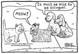 by BOW WOWS & MEOWS