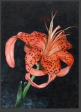 by TotalArt Soul