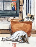 by Arlene Wright-Correll