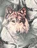by Melodye Whitaker