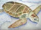 by Julie Remillard