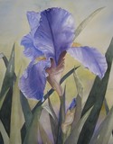 by Susan Moss