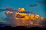 by Thomas Curry