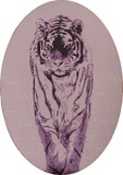 by Daniel Botha