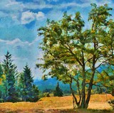 by Pavel Potocek