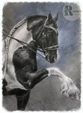 by Julia Kravets