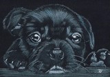 by Anthony Wickens