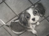 by Teresa Kae