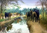 by Murk Malik