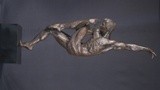 by Willem Botha