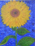 by barbara walsh