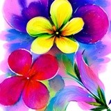 by Mihaela B