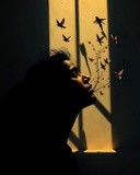 by Mihaela B