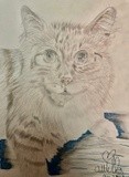 by Ariella Belau