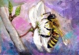 by Alina Contis
