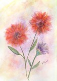 by Donna Ryant