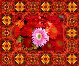 by Nira Dabush