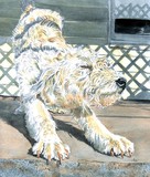 by Yvonne Carter