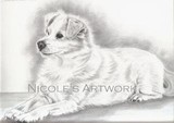 by Nicole Roy