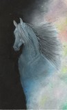 by Shawna Lynn Ballard