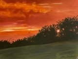 by Katherine Taylor-Green