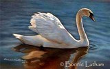 by Bonnie Latham