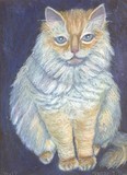 by Susan Poda