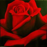 by Nelly van Nieuwenhuijzen