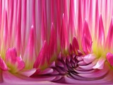by Trisha Allard