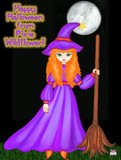 by Cathy Holford