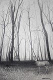 by Robert McCoy