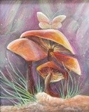 by Shelley Tate Garner