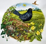 by Tricia Newell