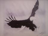 by Gabriel Tijerina