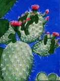 by Dana Bernard Elliott