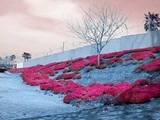 by Efi Keren