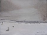 by Jeanie Chadwick