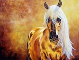by Wendi Evans