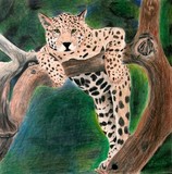 by Lindsey Kroll