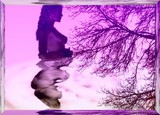 by Lisa westberg