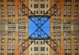 by asher levy