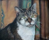 by Natascha M