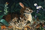 by vivian sellers