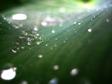 by Orian Ambient