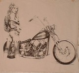 by mike schvaneveldt